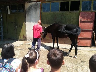 За конете и децата - Изображение 2